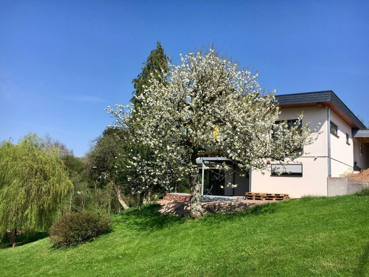 Haagalm Terrasse, Garten Nonnweiler Exterior photo